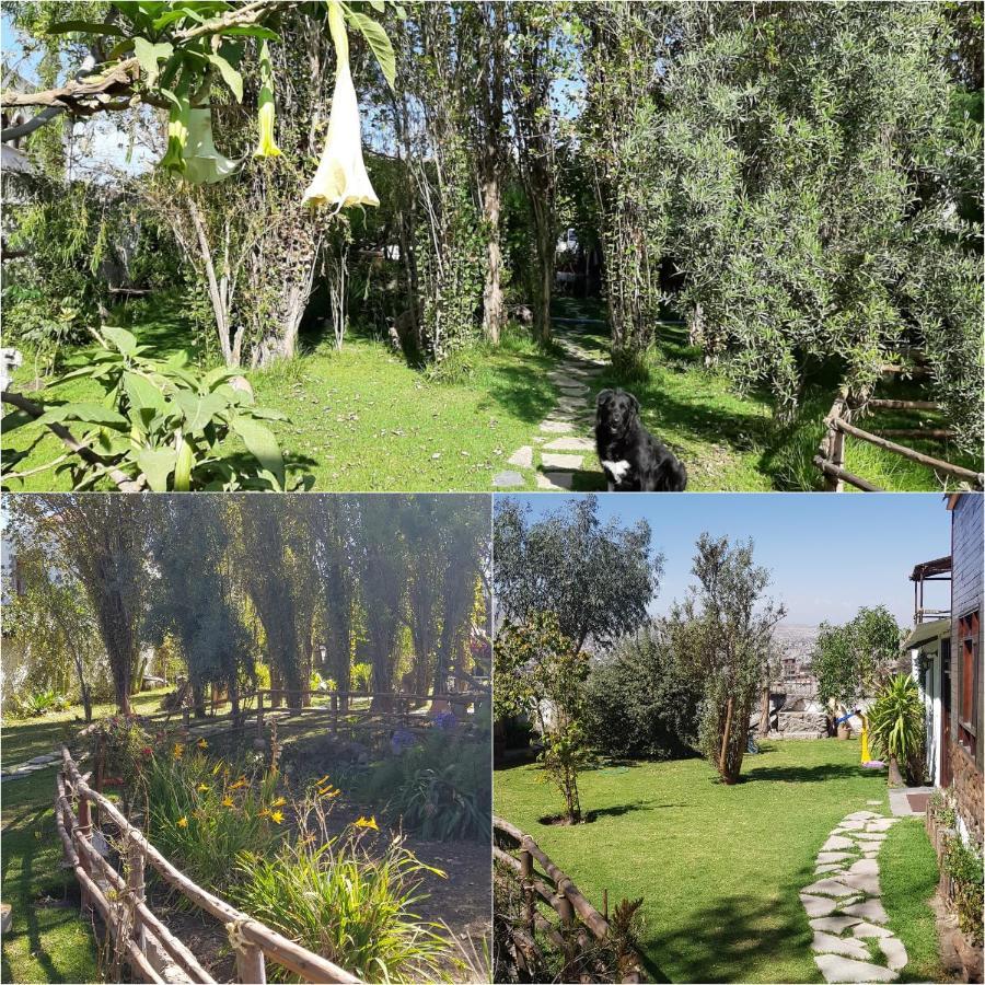 The First Real Bed & Breakfast Hiking Hotel 'The Office' In Arequipa, Peru Εξωτερικό φωτογραφία