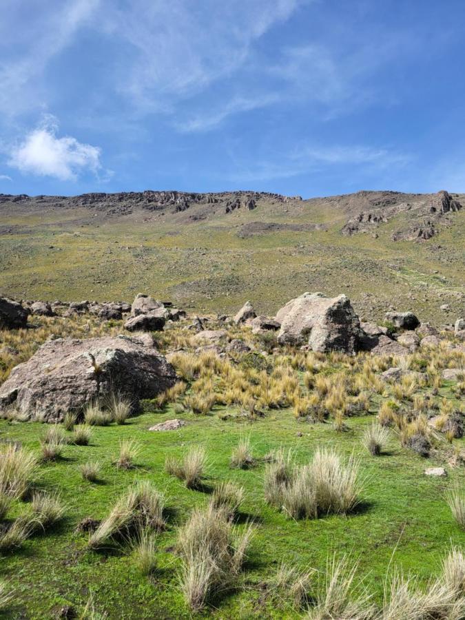 The First Real Bed & Breakfast Hiking Hotel 'The Office' In Arequipa, Peru Εξωτερικό φωτογραφία